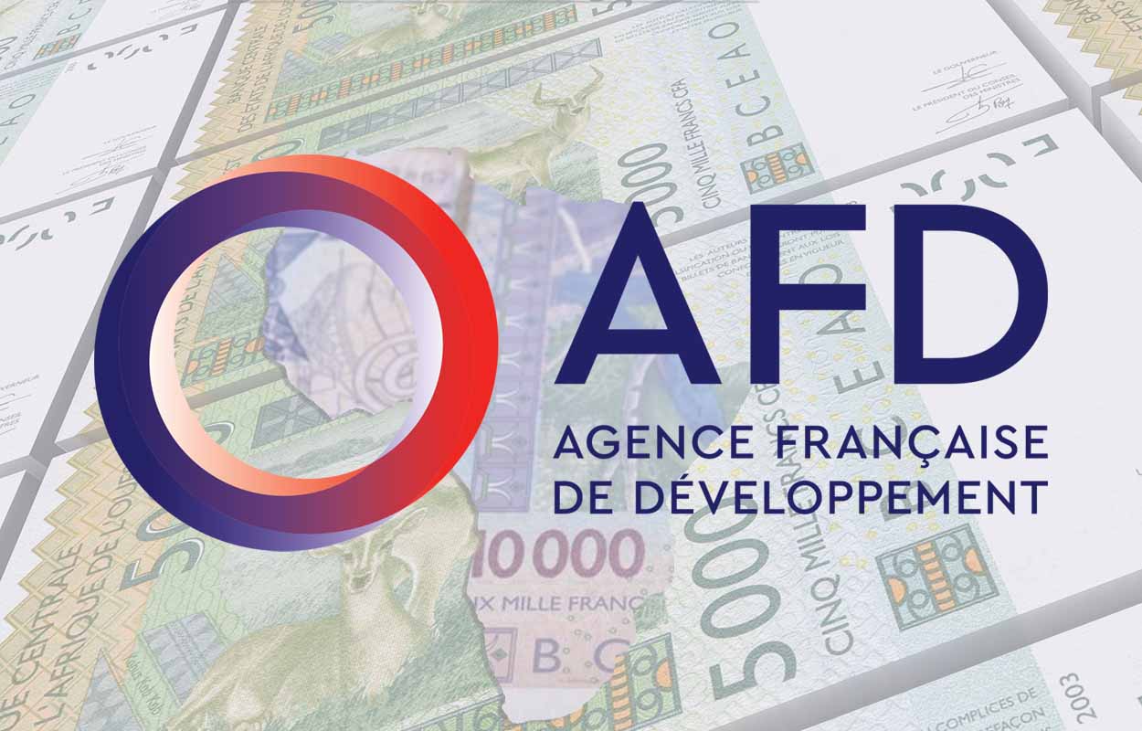 Les progrès économiques de l’Afrique : Une synthèse de l’Agence française de développement (AFD)