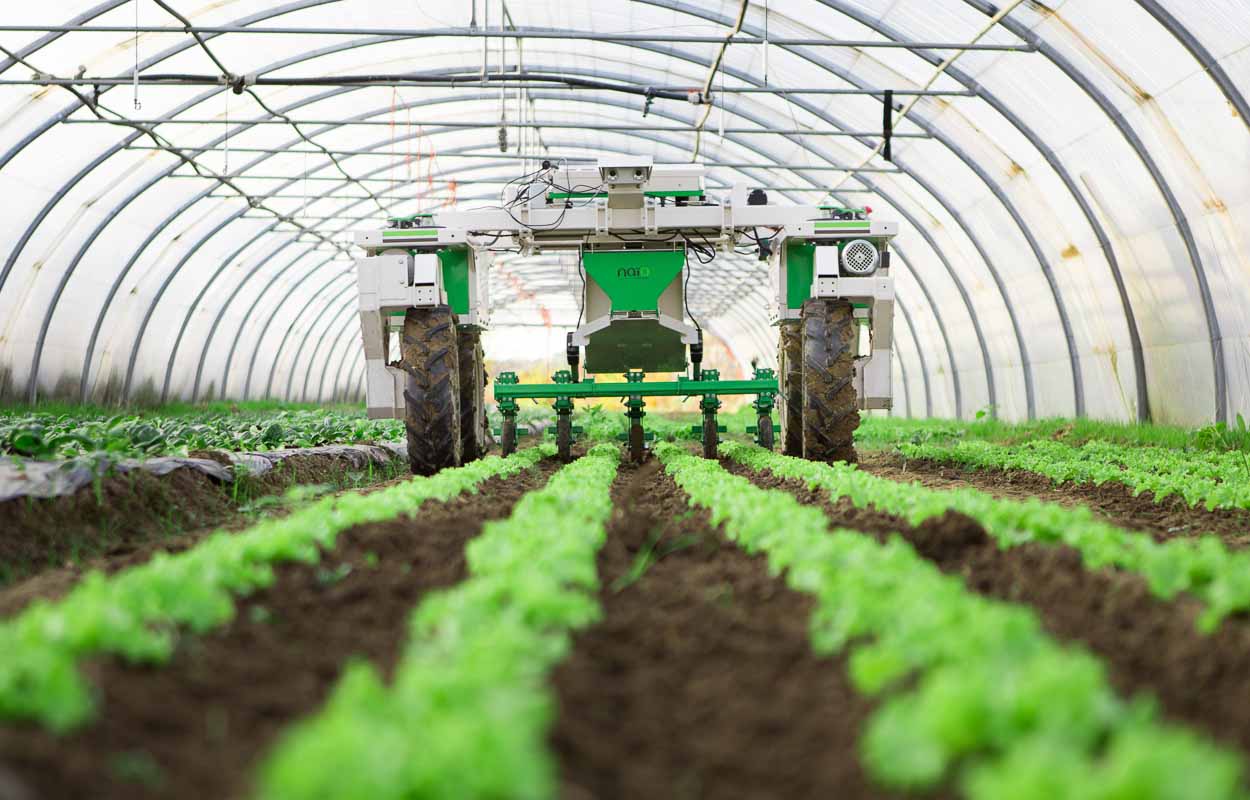 Les robots agricoles autonomes révolutionnent l'agriculture écologique