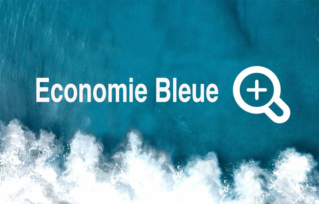 BlueInvest Africa, bientôt aux Seychelles autour de l'économie bleue