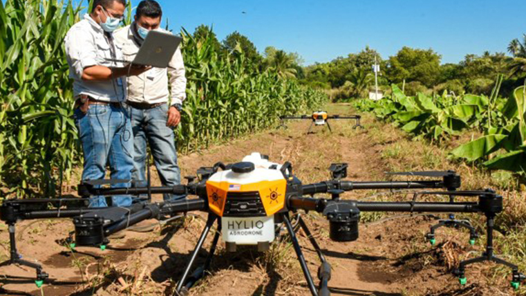 Le marché des drones agricoles s'envole