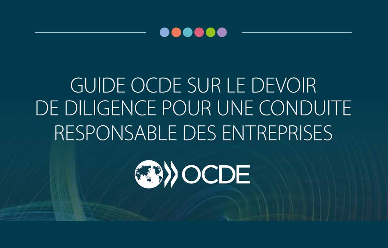 L'OCDE intègre des recommandations ESG plus strictes