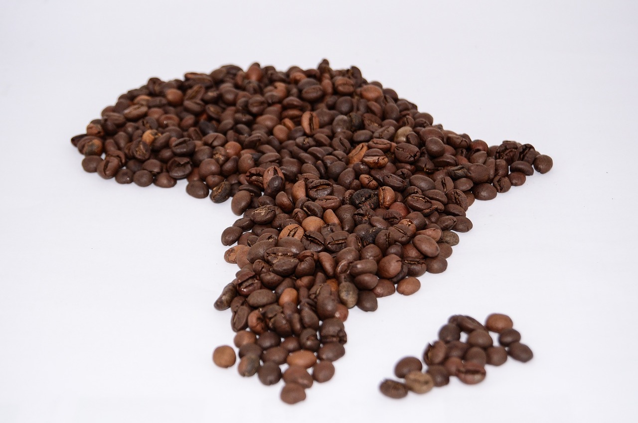 Le café, une source de revenus pour au moins 60 millions de personnes en Afrique