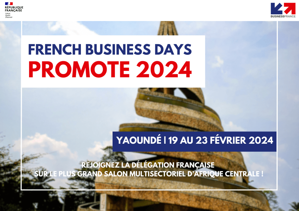 Business France : une mission au Cameroun pour promouvoir les entreprises françaises